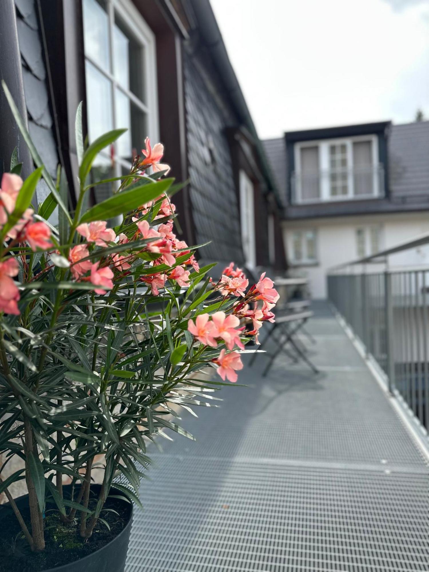 Rotmain Apartments Bayreuth Kültér fotó